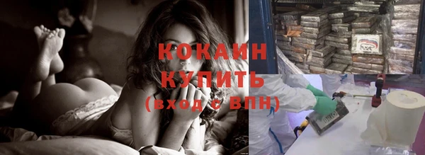шишки Кукмор