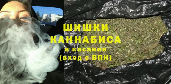 ПСИЛОЦИБИНОВЫЕ ГРИБЫ Коряжма