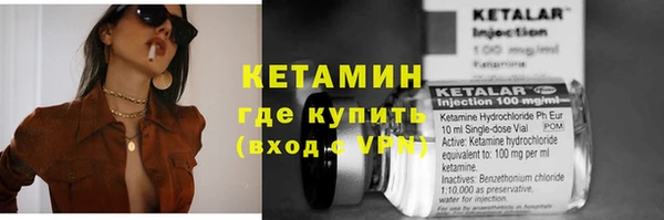 гашик Козловка