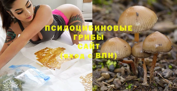 трава Кулебаки