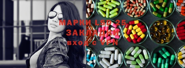 ПСИЛОЦИБИНОВЫЕ ГРИБЫ Коряжма