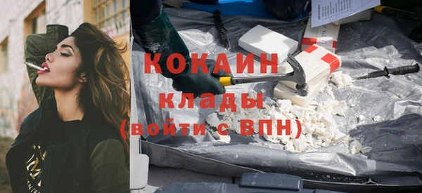 ПСИЛОЦИБИНОВЫЕ ГРИБЫ Коряжма