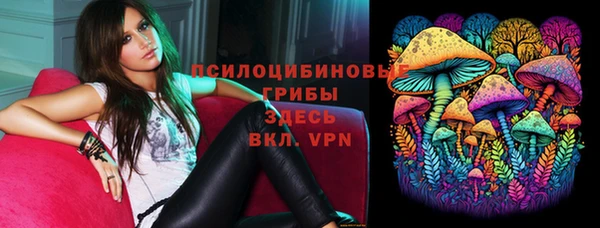 тгк Корсаков
