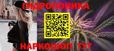 каннабис Гусиноозёрск