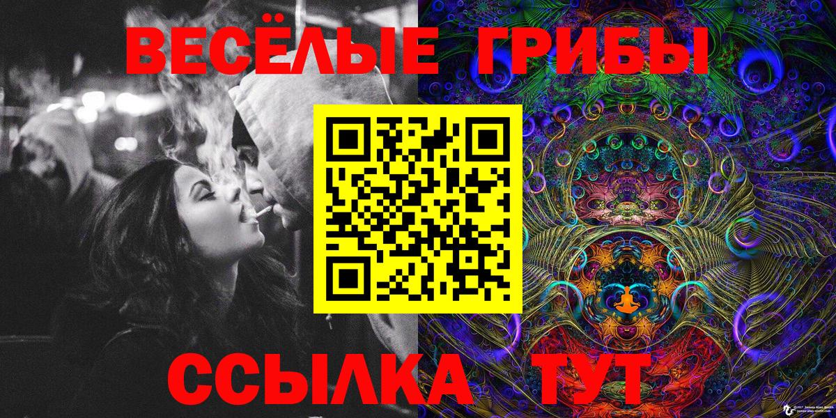 Псилоцибиновые грибы мухоморы  хочу наркоту  Михайловка  Вход с VPN 