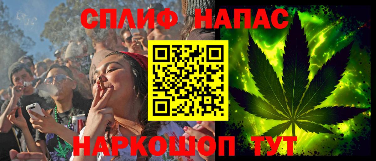 Каннабис сатива Михайловка