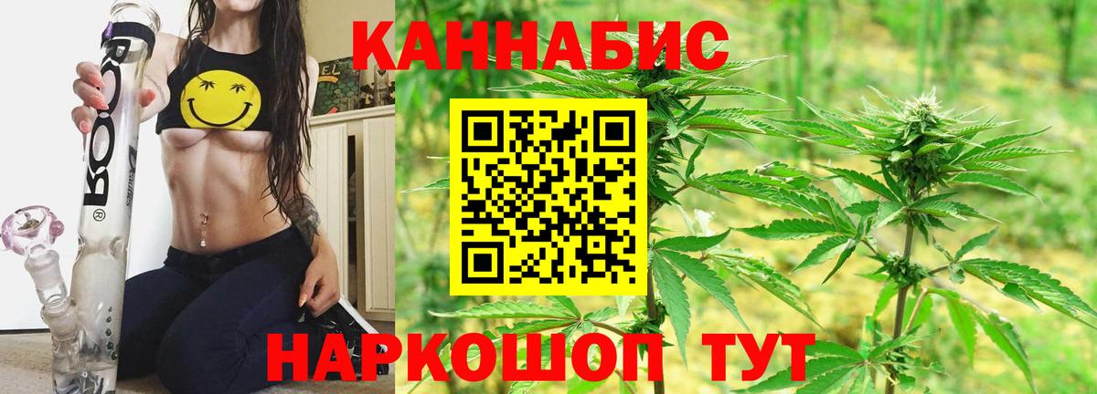 Каннабис семена  МАРИХУАНА гибрид  Бошки Шишки OG Kush  Вход с VPN  Михайловка 